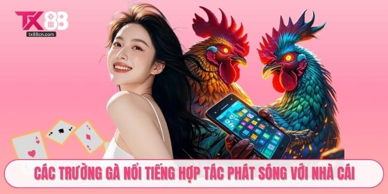 Các trường gà nổi tiếng hợp tác phát sóng với nhà cái