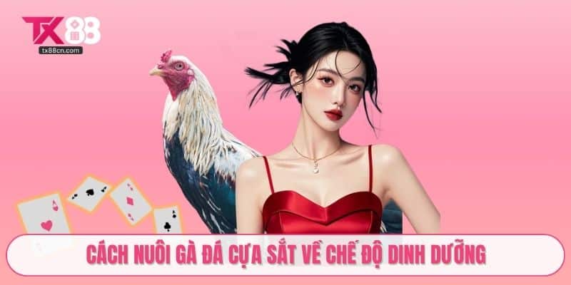 Cách nuôi gà đá cựa sắt về chế độ dinh dưỡng