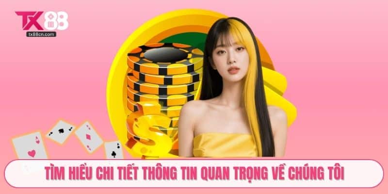 Tìm hiểu chi tiết thông tin quan trọng về chúng tôi
