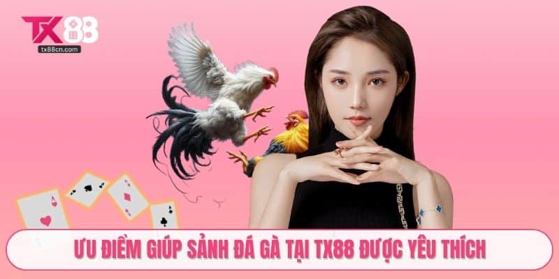 Ưu điểm giúp sảnh đá gà tại TX88 được yêu thích